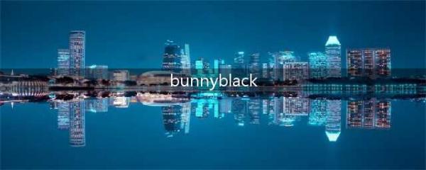 BunnyBlack3怎么玩 通关攻略(bunnyblack)