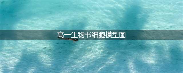 高中生物：细胞的结构超清图(高一生物书细胞模型图)