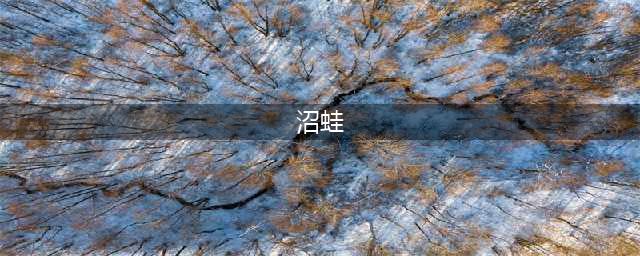 《DOTA2》坚韧沼蛙怎么样 坚韧沼蛙套装预览(沼蛙)