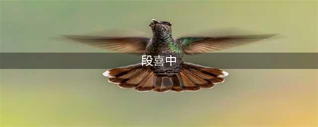 段喜中书记退休，濮阳人民感谢您，重温激情燃烧的岁月！(段喜中)