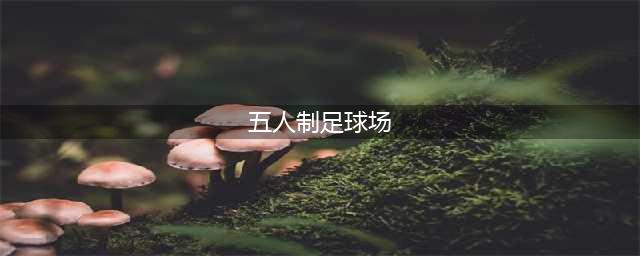 五人制足球场标准尺寸大小(五人制足球场)