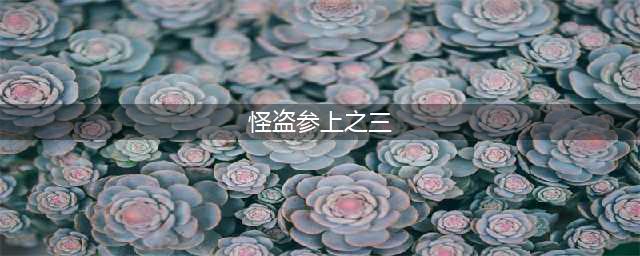 航海王热血航线怪盗参上之三任务怎么做 怪盗参上之三完成流程(怪盗参上之三)