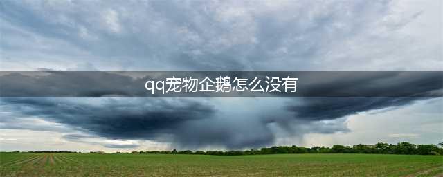 QQ宠物企鹅宣布停止运营，再也不会回来的小企鹅你会想它吗(qq宠物企鹅怎么没有)