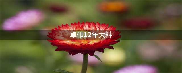 卓伟12年大料曝光！白百何出轨帅气“鲜肉”(卓伟12年大料)