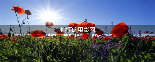 十大老司机必备的免费在线观影网站(你懂的电影网)