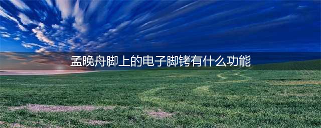 孟晚舟出庭时脚上戴的电子脚镣都有什么功能？(孟晚舟脚上的电子脚铐有什么功能)