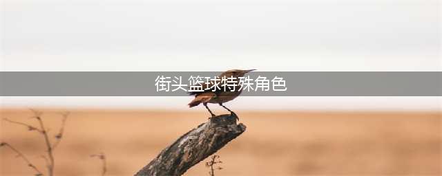 上天入地 《街头篮球》特殊角色深度解析(街头篮球特殊角色)