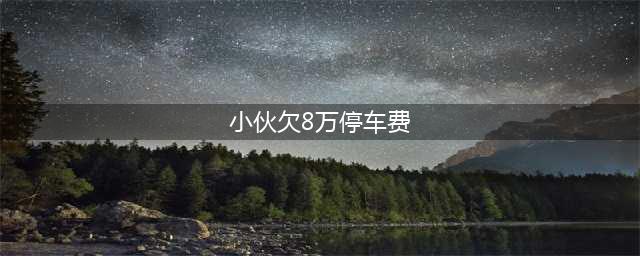 小伙停车26天，出门显示须缴8万元，网友：这车还是不要了吧(小伙欠8万停车费)