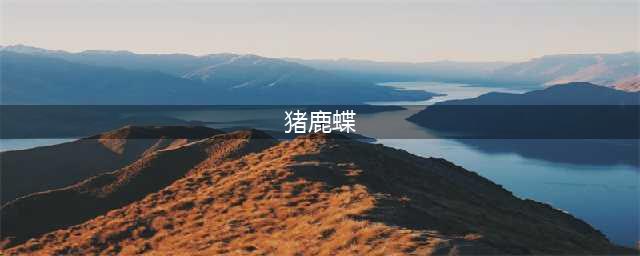 《王者荣耀》猪鹿蝶怎么使用 猪鹿蝶套路玩法攻略(猪鹿蝶)