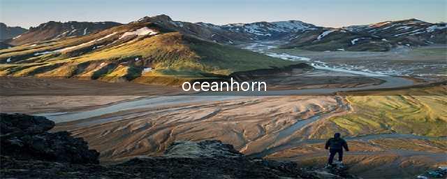 oceanhorn怎么操作 海之号角常用操作介绍(oceanhorn)
