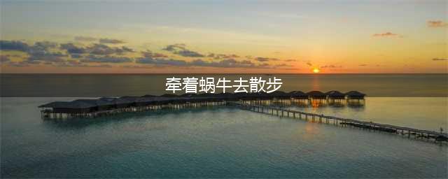 名诗赏析：《牵着蜗牛去散步》(牵着蜗牛去散步)