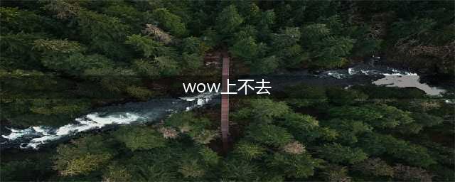 《魔兽世界怀旧服》上不去怎么解决呢 上不去解决方法介绍(wow上不去)