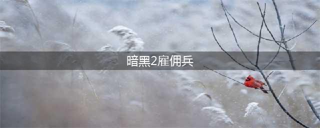 暗黑破坏神2：雇佣兵要如何选择？普通的雇佣兵比地狱的还要强！(暗黑2雇佣兵)