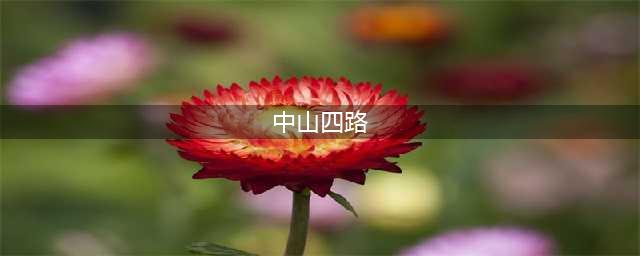 【母城攻略】渝中最母城文化线路----中山四路(中山四路)