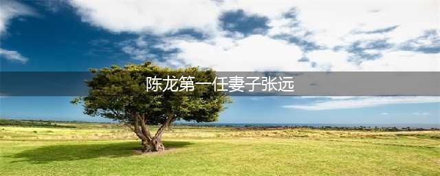 陈龙第一任妻子张远个人资料曝光 陈龙现任老婆是章龄之吗(陈龙第一任妻子张远)
