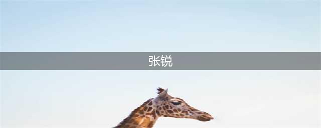 张锐代表——擦亮营商环境品牌(张锐)