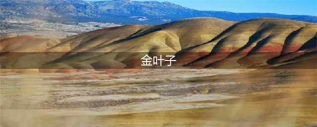我们都听说过“金叶子”，金叶子到底是什么东西？到底值多少钱(金叶子)