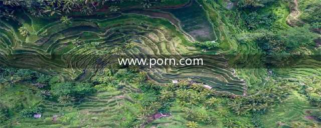 世界十大最贵域名大盘点！3个成人网站包含在内(www.porn.com)