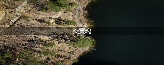 龙之炎黄魂四大职业玩法攻略 龙之炎黄魂四大职业有哪些(炎黄魂)