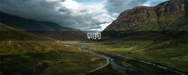 狗狗训练的“黄金时期”，手把手教你，如何训好狗狗(训狗)