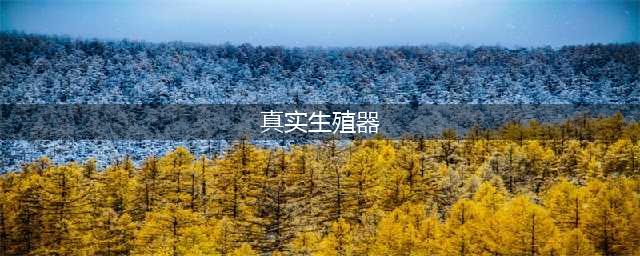 揭秘女性外生殖器的真实面貌！镜头记录全过程，别不好意思看(真实生殖器)