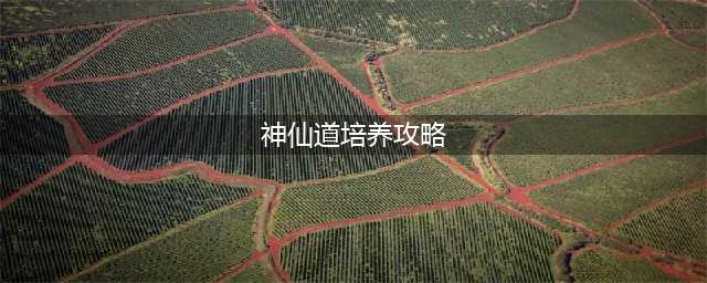 神仙道3法宝培养攻略 神仙道3法宝培养方法一览