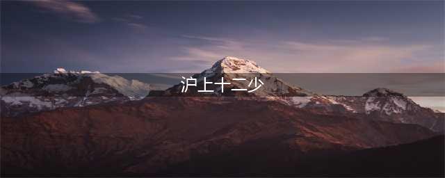 沪上十二少：逻辑的力量(沪上十二少)