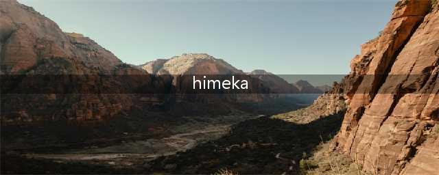 日圈在逃紫薇星？18岁当女公关，3个月赚千万？(himeka)