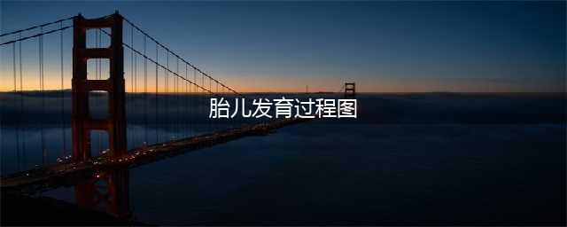 胎儿发育过程全41周每周图解！超详细！(胎儿发育过程图)