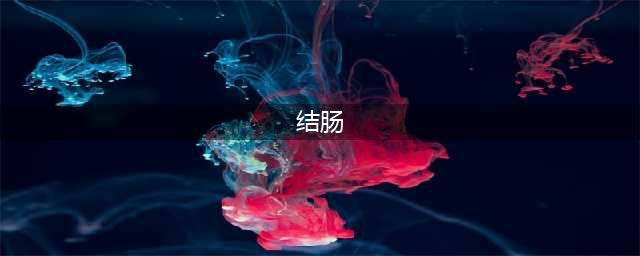 【内脏与疼痛】结肠的组织结构(结肠)