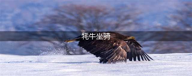 《魔兽世界》坐骑雄壮远足牦牛获取攻略(牦牛坐骑)