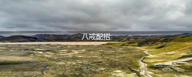 造梦西游4八戒配招解析 造梦西游4八戒应该如何配招(八戒配招)