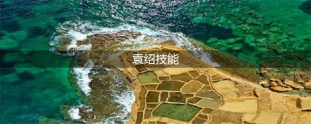三国杀袁绍技能详解