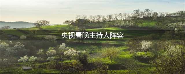 2019央视春晚主持人阵容公布，看看都有谁？(央视春晚主持人阵容)