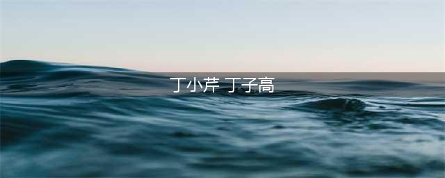 从时尚教主到阶下囚，8次诈骗，2次判刑，丁小芹的人生有多荒唐？(丁小芹 丁子高)