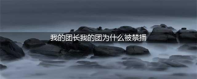 《我的团长我的团》为什么被禁播（原创）(我的团长我的团为什么被禁播)