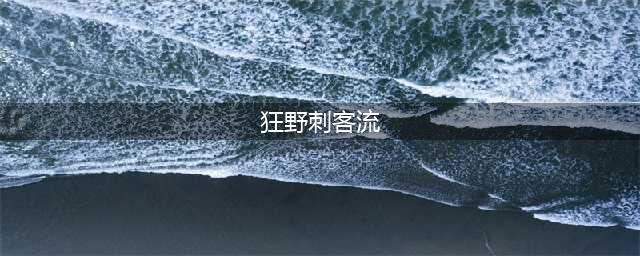 《云顶之弈》狂野刺客流怎么玩 狂野刺客流玩法攻略