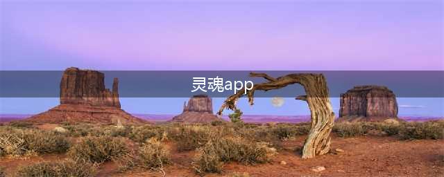 灵魂聊天交友软件(灵魂app)