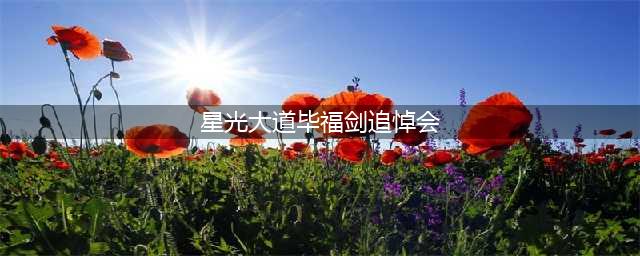 这一次，消失8年的毕福剑，不再被世界宽容(星光大道毕福剑追悼会)