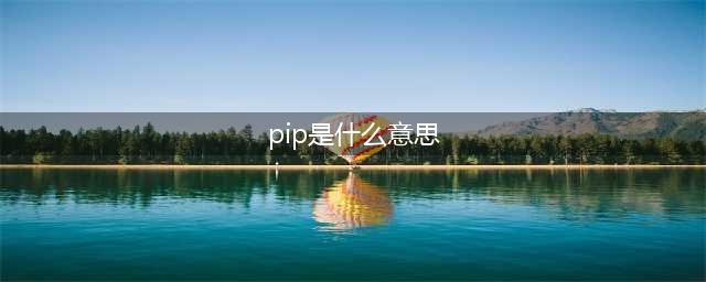 老板要求我执行PIP，PIP的真正意思是什么？(pip是什么意思)