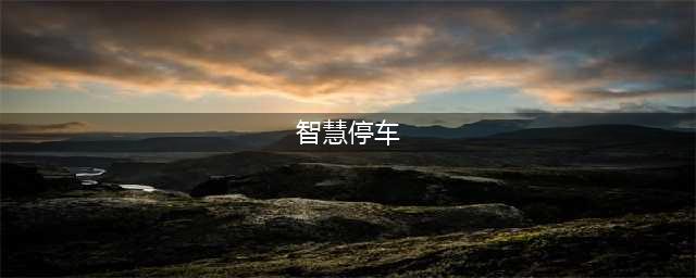 智慧停车对未来的意义(智慧停车)