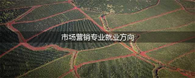 市场营销专业就业方向与就业前景分析(市场营销专业就业方向)