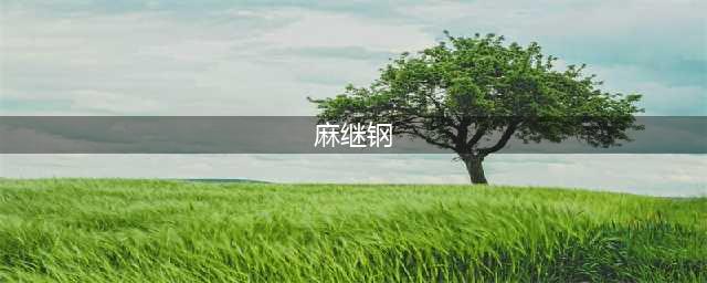 南京医学院杀人案恶魔麻继钢，这28年来在做什么？还债时候到了！(麻继钢)