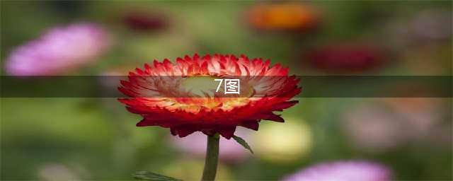 《公主连结》7图通关配置怎么打 7图打法攻略