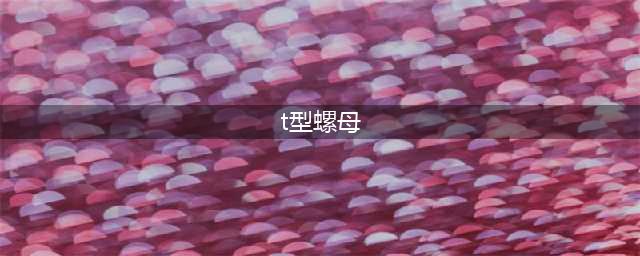 什么是T型螺母(t型螺母)
