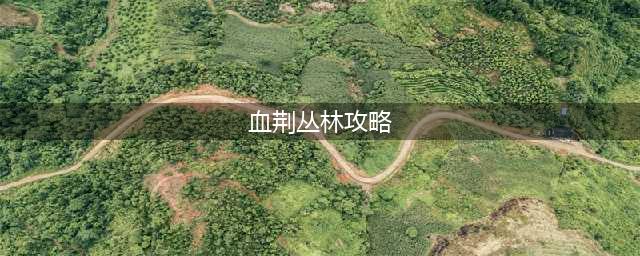 《剑与远征》血荆丛林怎么玩 血荆丛林玩法通关攻略(血荆丛林攻略)