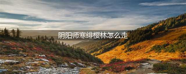 阴阳师寒绯樱林如何走 寒绯樱林路线攻略
