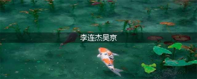 吴京与李连杰两位武术巨星的不解之缘(李连杰吴京)
