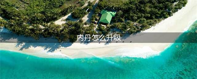 乱斗西游内丹怎么升级(内丹怎么升级)