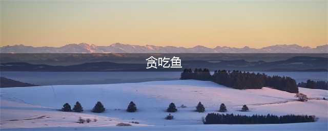 吃鱼游戏下载大全2022 吃鱼游戏排行榜前十(贪吃鱼)